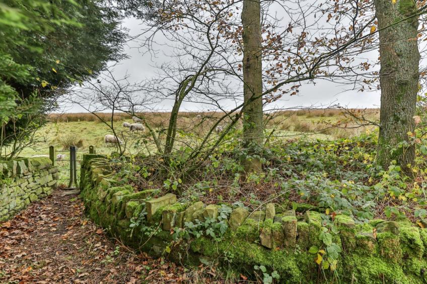 Middle Warble Stables - foto 4