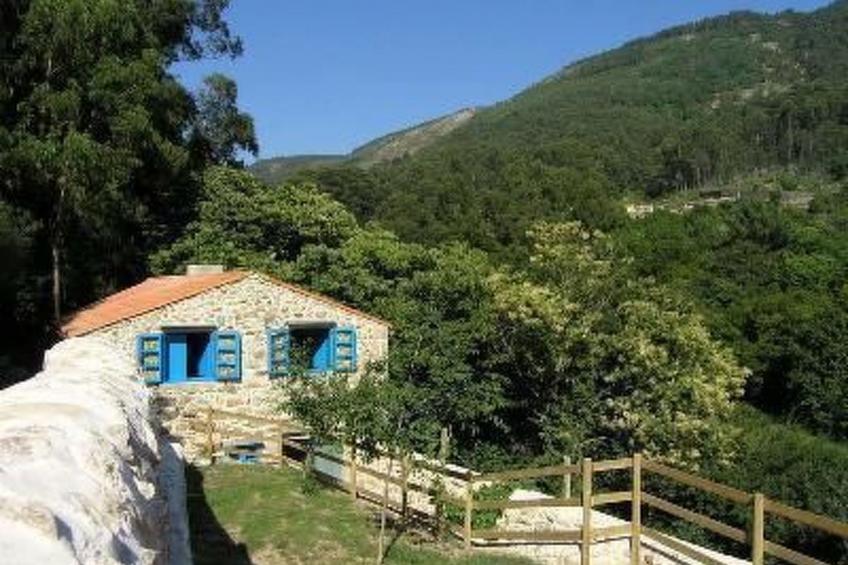 NATUR IN IHRER REINSTEN FORM