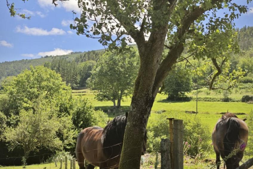 "Galicia Retreat - foto 19