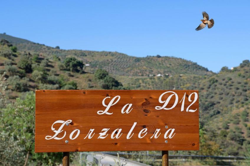 Villa La Zorzalera mit Tauchbecken, Wifi, Klimaanlage - foto 32