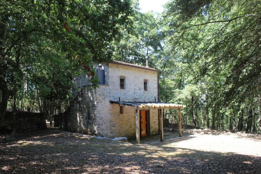 Kirschbäume, eine Oase im Wald zwischen Meer und Natur - foto 23