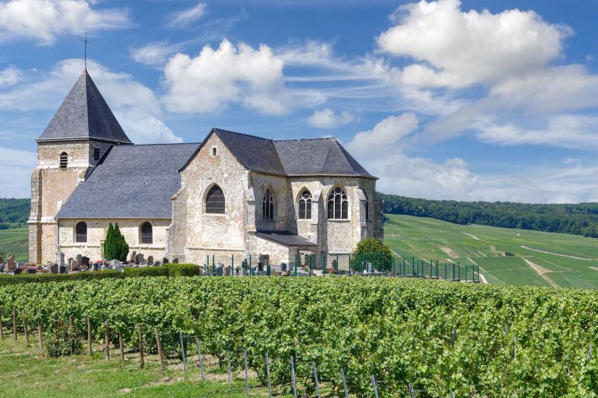 Les Demeures Champenoises Confort ST3N - foto 22