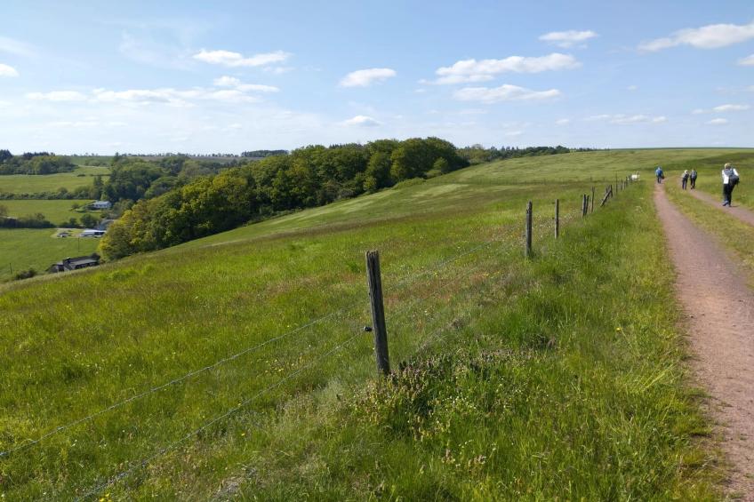 Ferienwohnung Winkel in der Vulkaneifel - foto 22