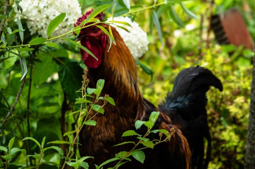 Suite Empire - foto 15