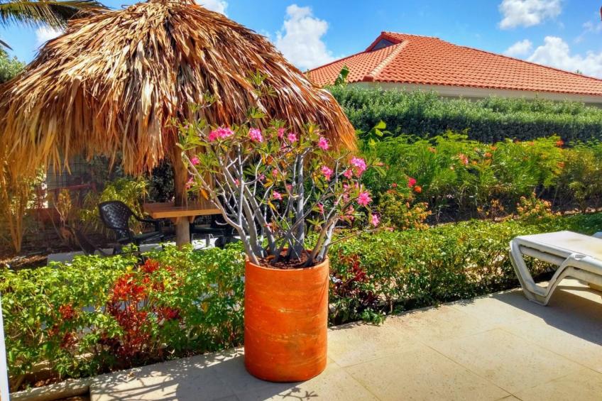 Villa Gogorobi mit privatem Pool - foto 8