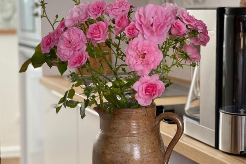 Gemütliche Wohnung in Hameln mit Garten - foto 3