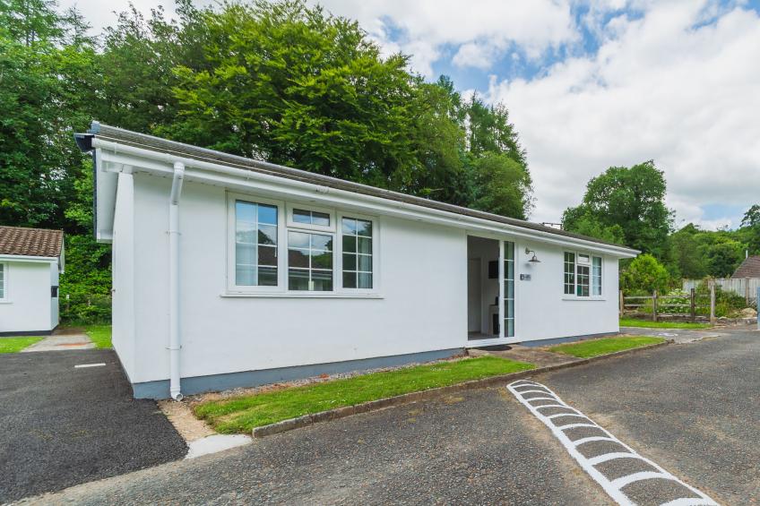 The Birches - foto 31