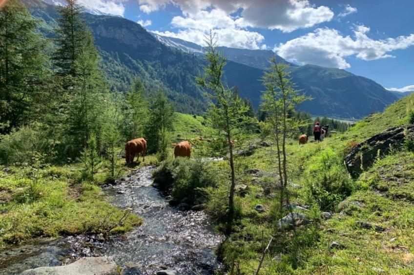 Chalets Les Amis 1 - foto 32