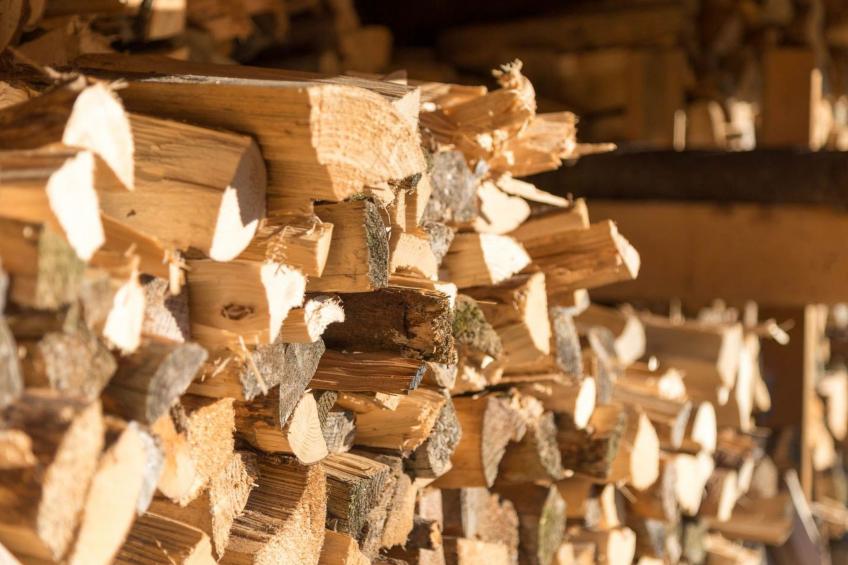 FORSTGUT - Raum für wertvolle Zeit - foto 9