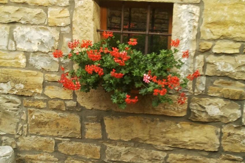 Istrisches Steinhaus - foto 38