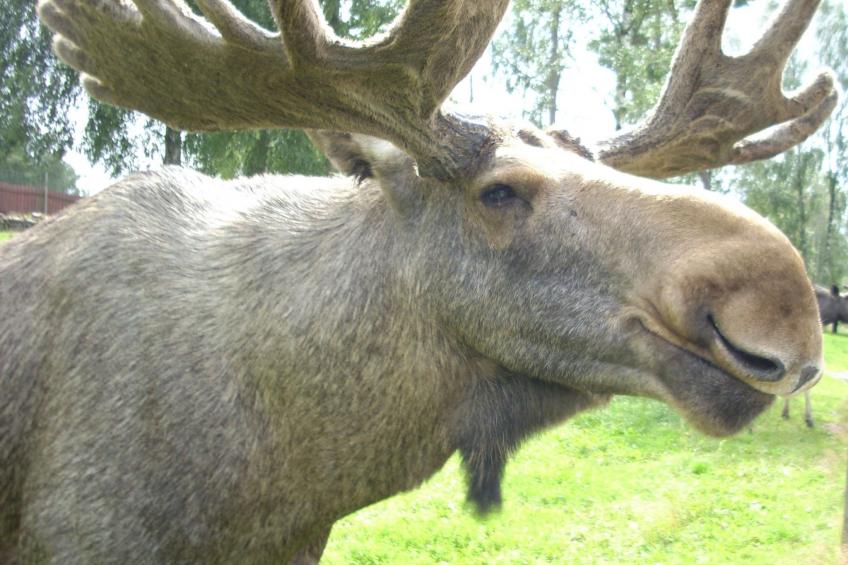 Gemütliches Ferienhaus in Seenähe - foto 21