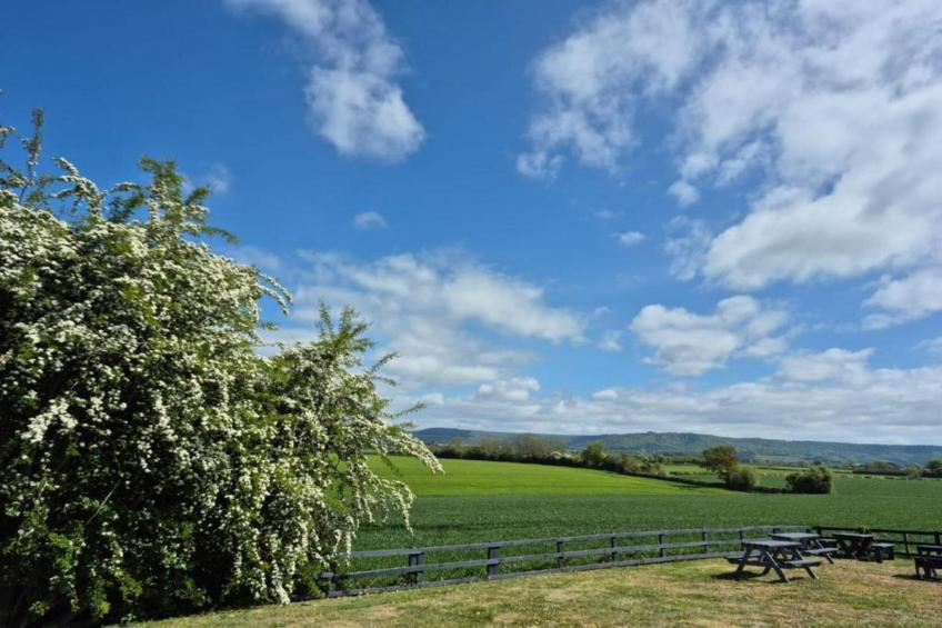 Bilsdale Hall Cottage - foto 38