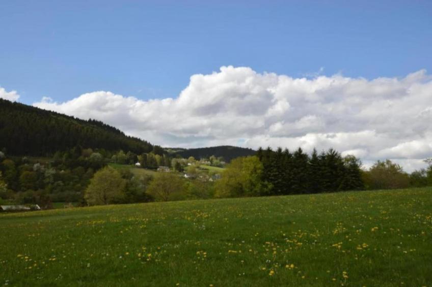 Steinbach-Hallenberg - foto 22