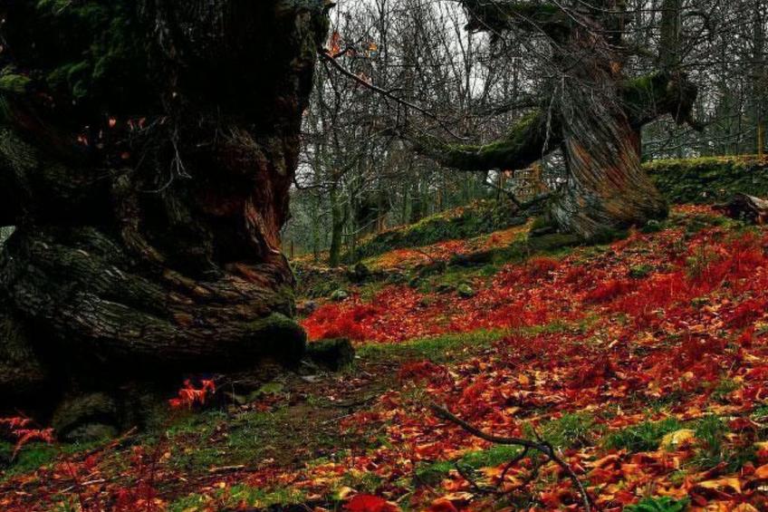 Rustikaler Urlaub in Casas Del Monte für 4 Personen - foto 21