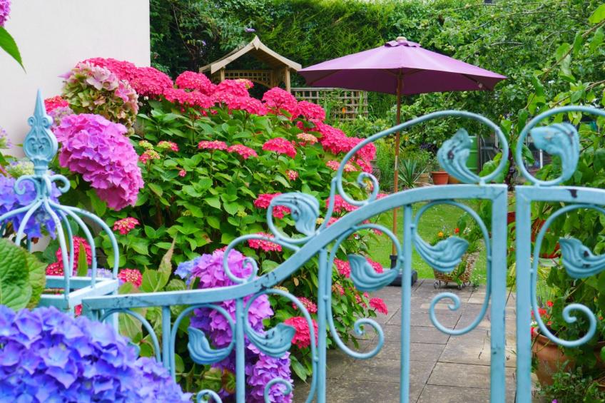 Wohnung in viktorianischer Villa mit Gartenblick - foto 30