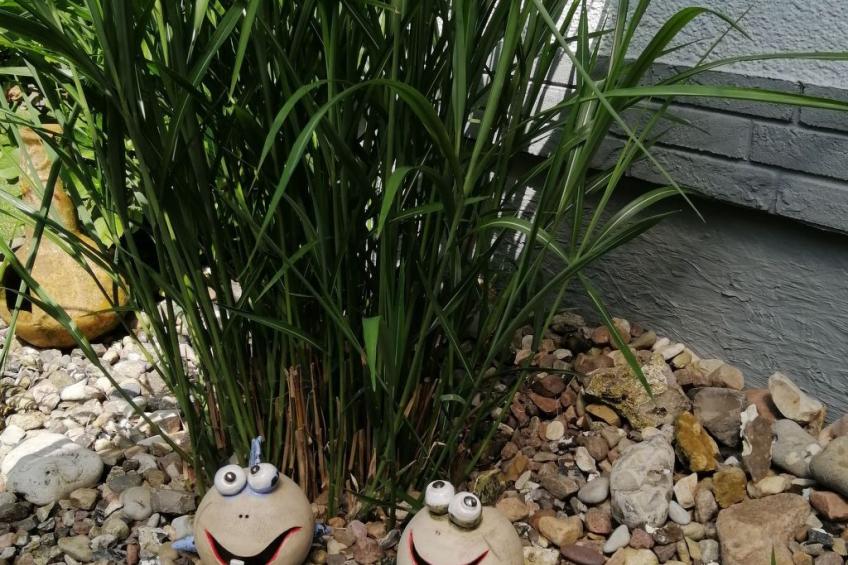 Ferienbungalow auf Gartengrundstück - foto 8