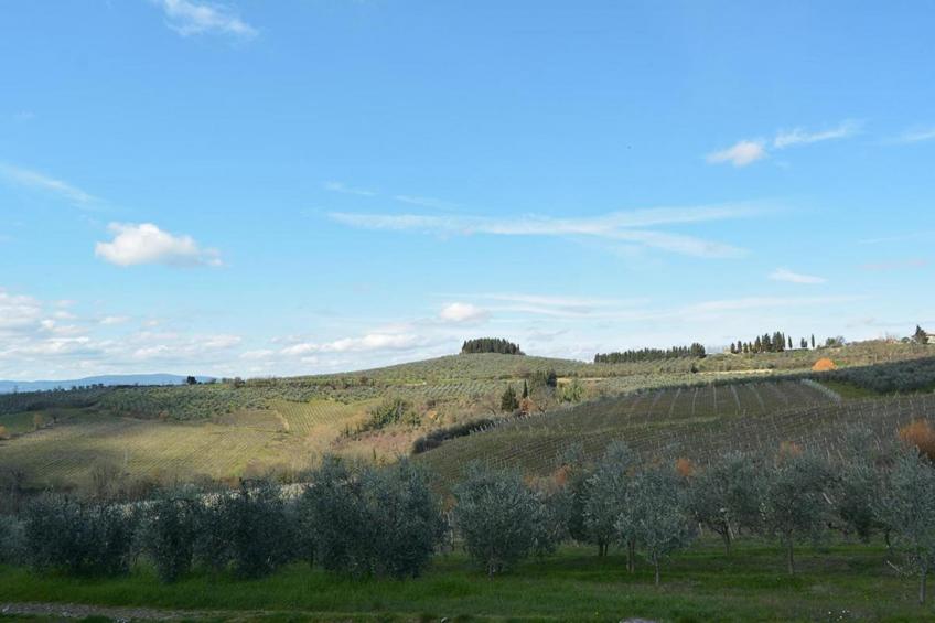 Toraio - foto 38