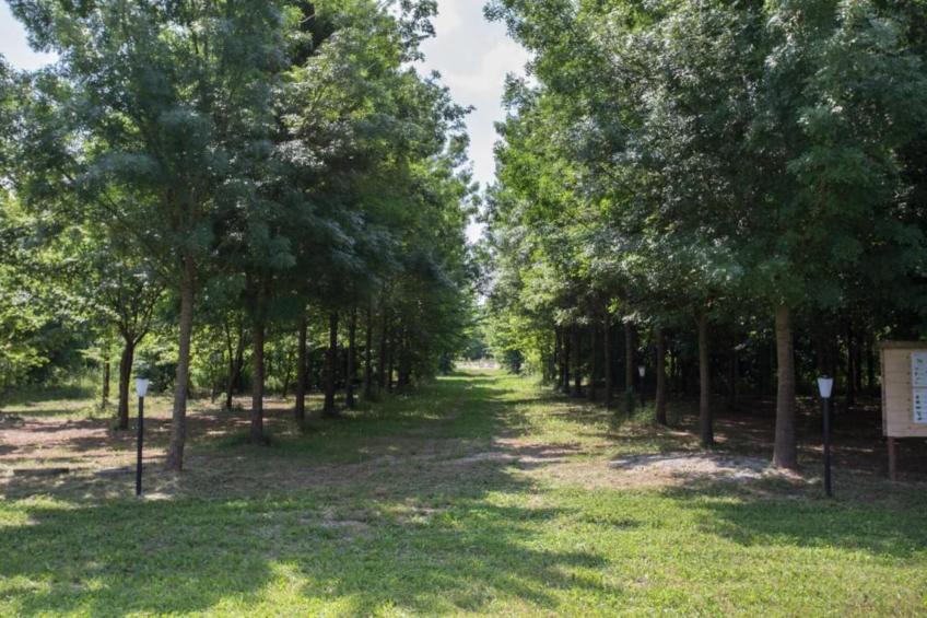 Casa Campagnola Uno - foto 27