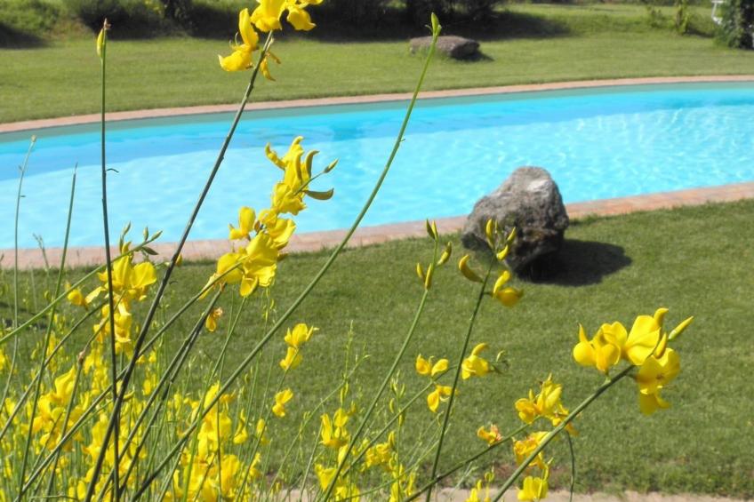 Gesamte Struktur - foto 4