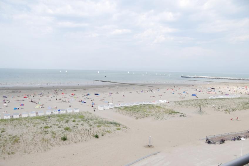 SIRENUSE I EN II I/0605 - foto 11