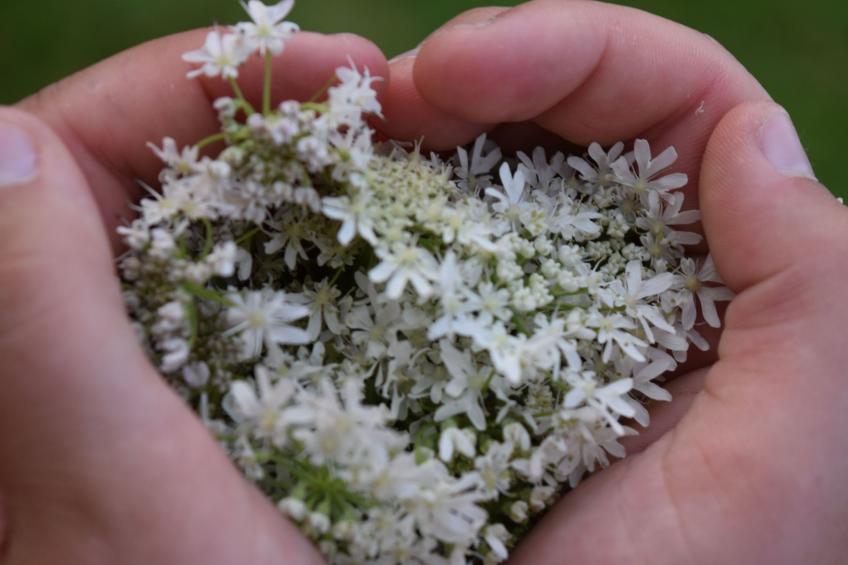 "Haus in der Einöde" - foto 5
