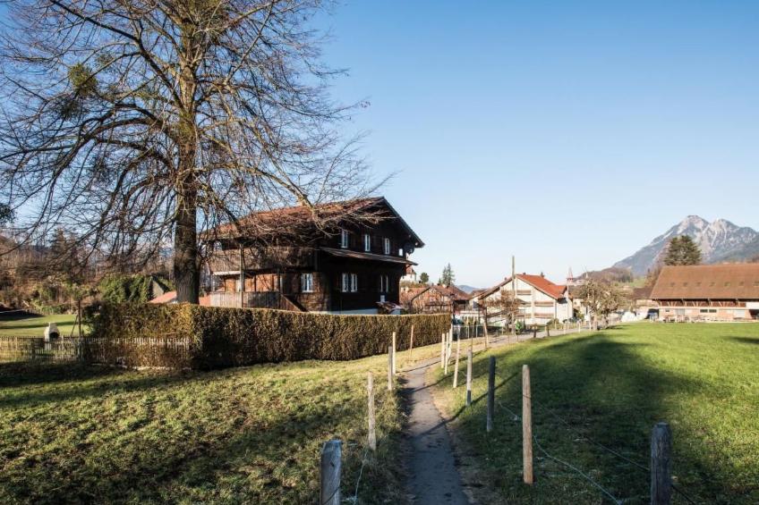 Lorenz - foto 23