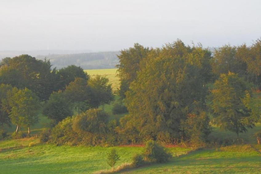 Exklusives Ferienhaus mit Terrasse und Garten - foto 23