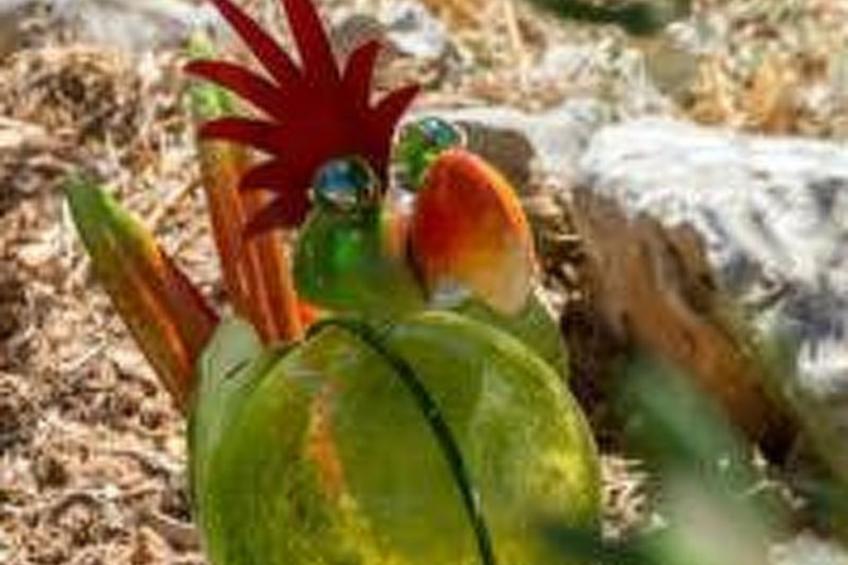 Hütte mit Garten, Grill und Terrasse - foto 3