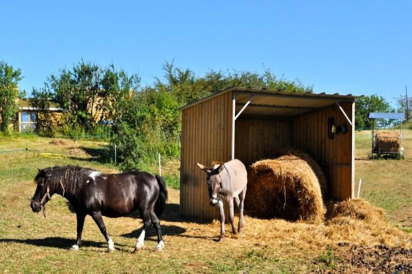 Domaine des Bories - foto 9