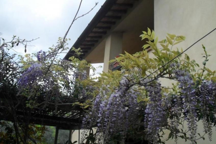 Wohnung im Agrotourismus in Bevagna - foto 12