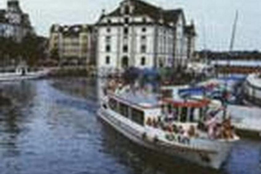 Rosentürmli - foto 21