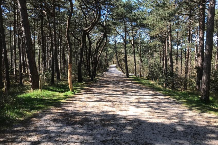 Rekerlanden 202 - foto 30