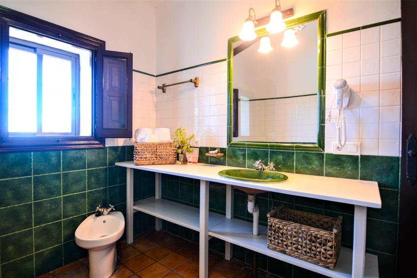 Finca las Chozas - foto 20