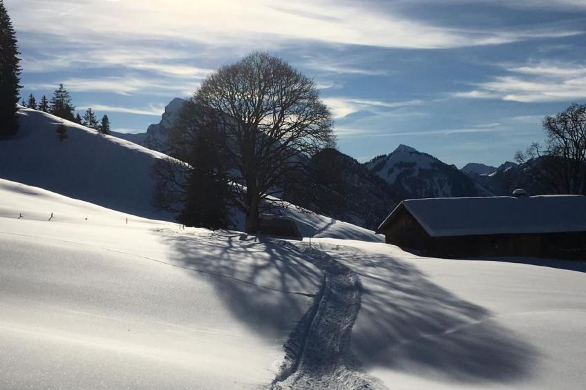 Fewo mit Herz - foto 46