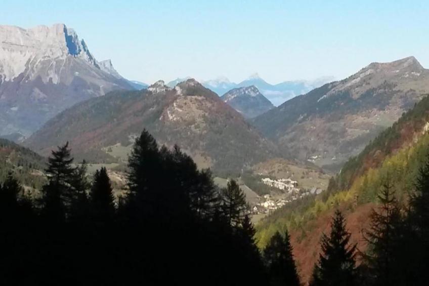 Les Gentianes - foto 28