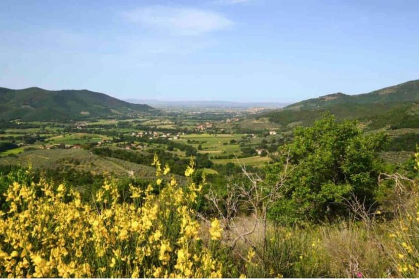 La Casa del Nonno - foto 33