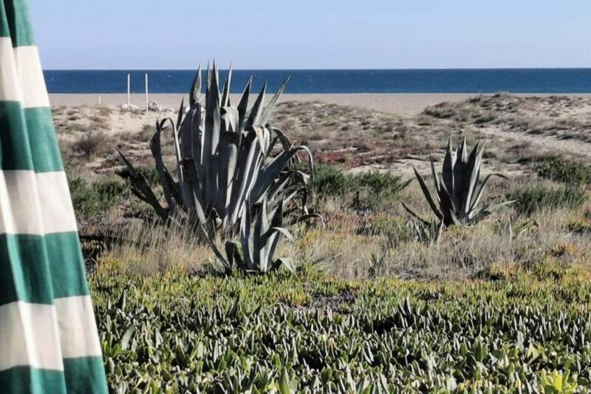 Résidence Maisons De La Mer 2 - foto 26