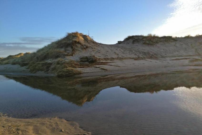 Kustpark Texel - foto 38