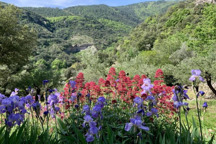Maison de vacances - LES SALELLES - foto 39