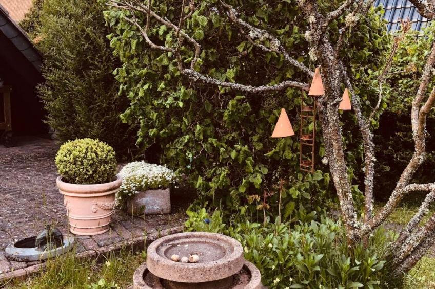 Eifelhäuschen - foto 10