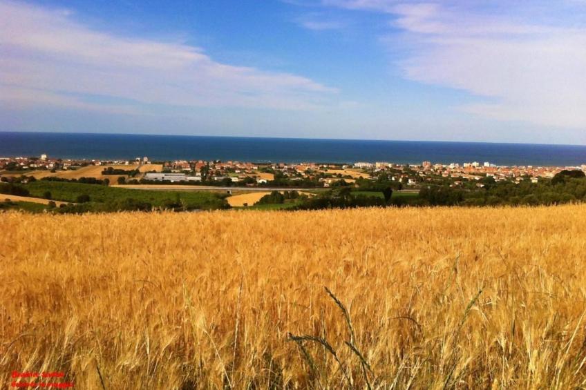 Studio  BUBO  - Pool - Ausblick- Kunst - foto 23