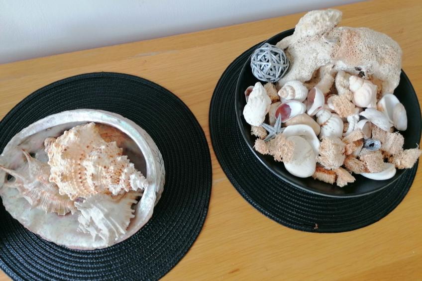 "Stewart" mit Blick auf das Wasser - foto 31