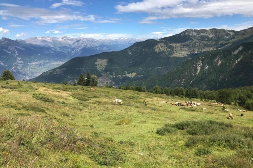 Le Nid du Crâ - foto 38