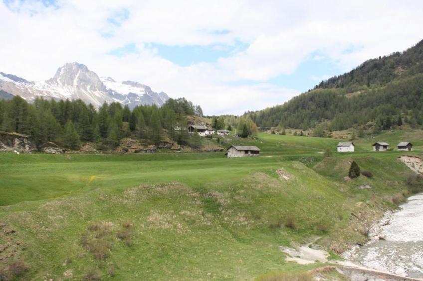 Chesa Arettas - foto 18