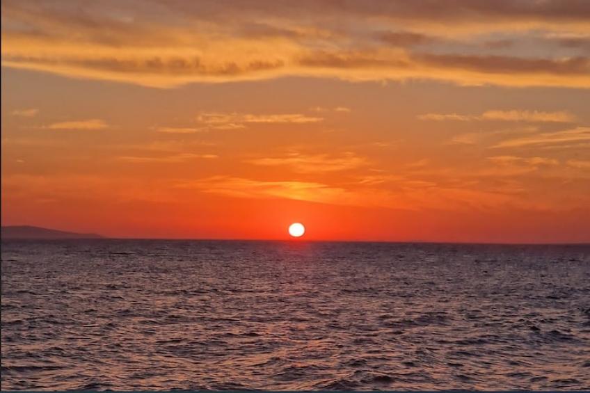 Apartments im Haus Liveric, Vir - Type D - foto 26