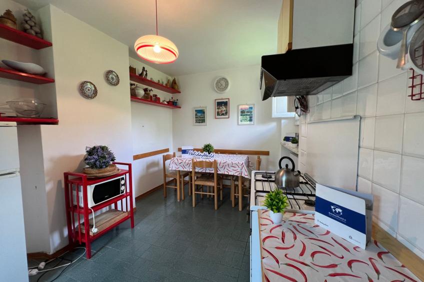 Rosa Selvatica by Holiday World - foto 5