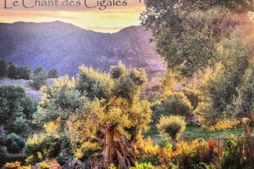 Le Chant Des Cigales - foto 16