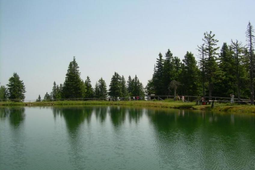 Wohnung Rozika - foto 14