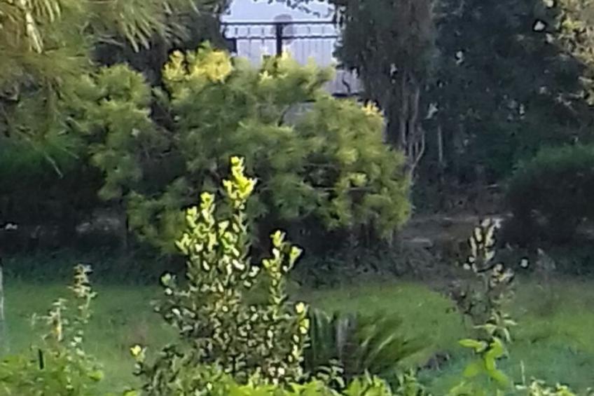 Villa Alma Wohnung in Villa - foto 26