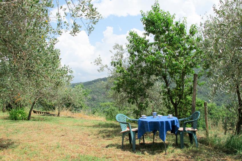 Fattoria Panzalla (SPC154) - foto 36